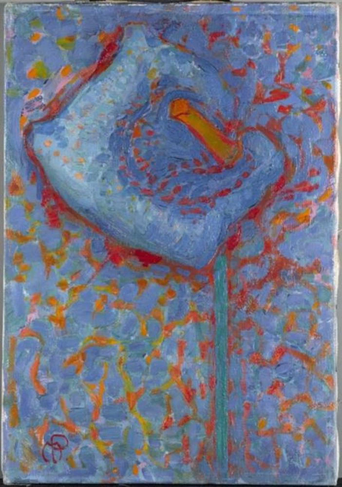 Calla - Kunstmuseum Den Haag